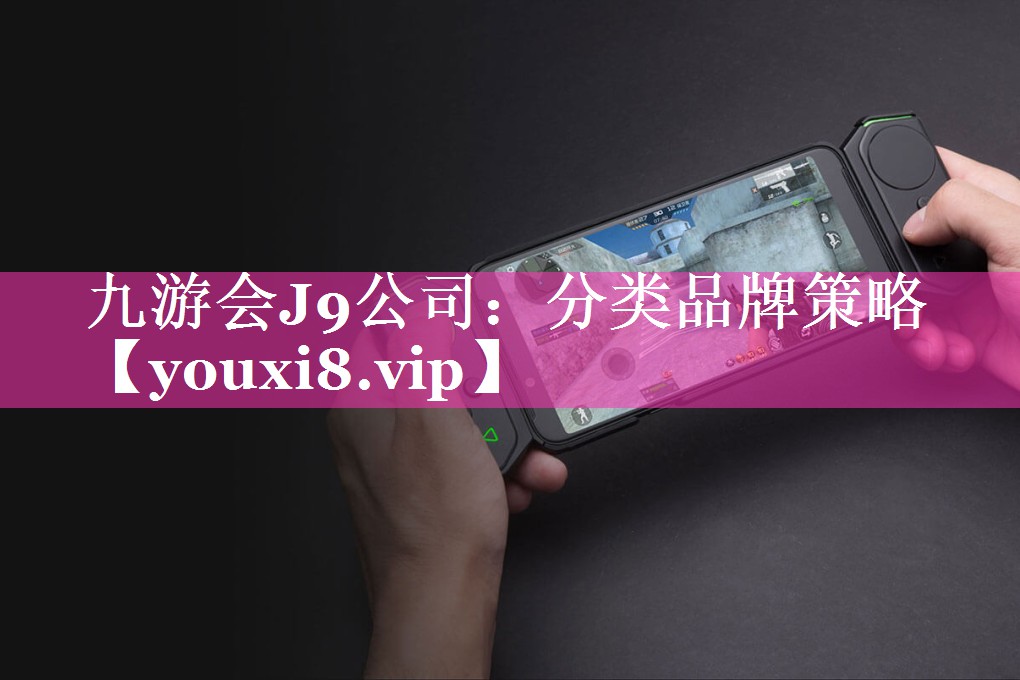 分类品牌策略