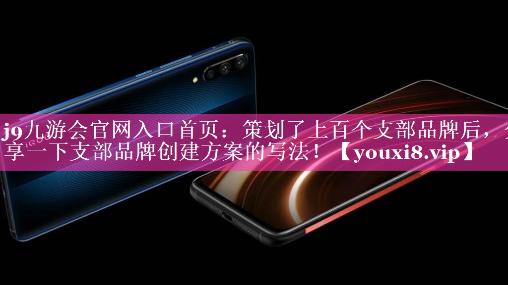 策划了上百个支部品牌后，分享一下支部品牌创建方案的写法！