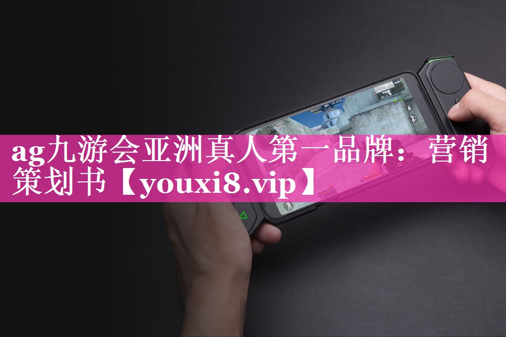 营销策划书