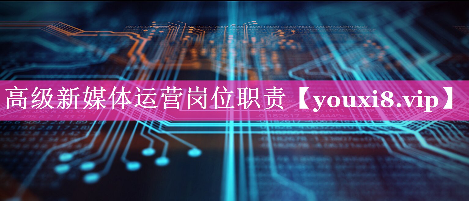 高级新媒体运营岗位职责